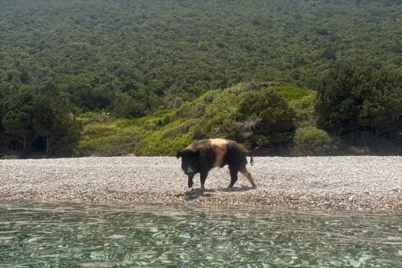 Panoramski pogled na bela sela Kiklada sa mora pri zalasku sunca